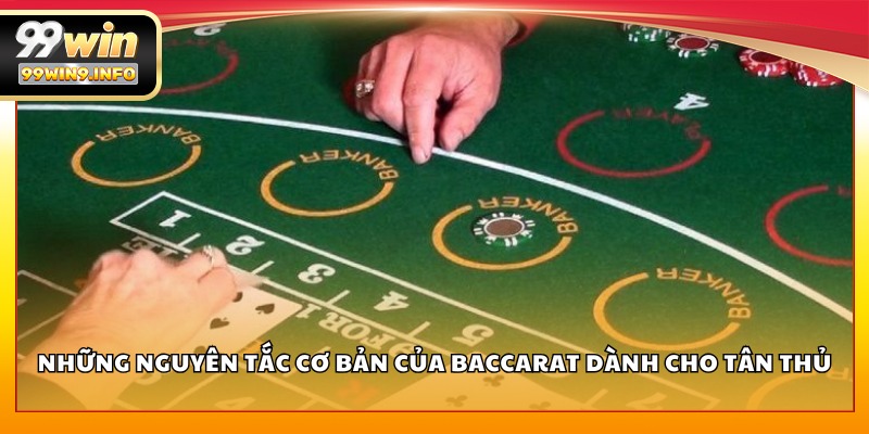 Những nguyên tắc cơ bản của Baccarat dành cho tân thủ