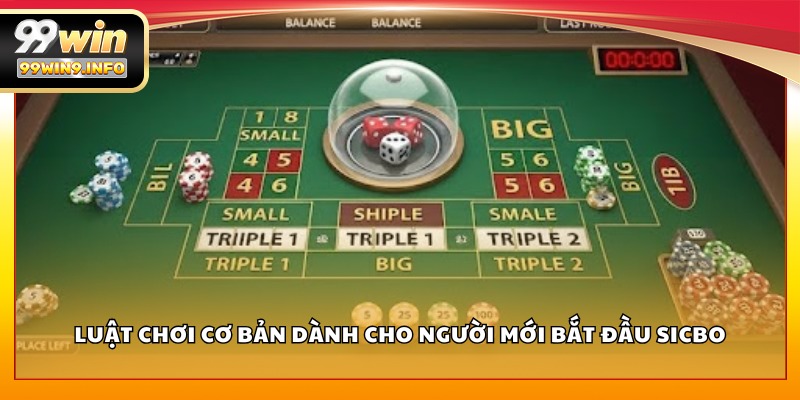 Luật chơi cơ bản dành cho người mới bắt đầu Sicbo