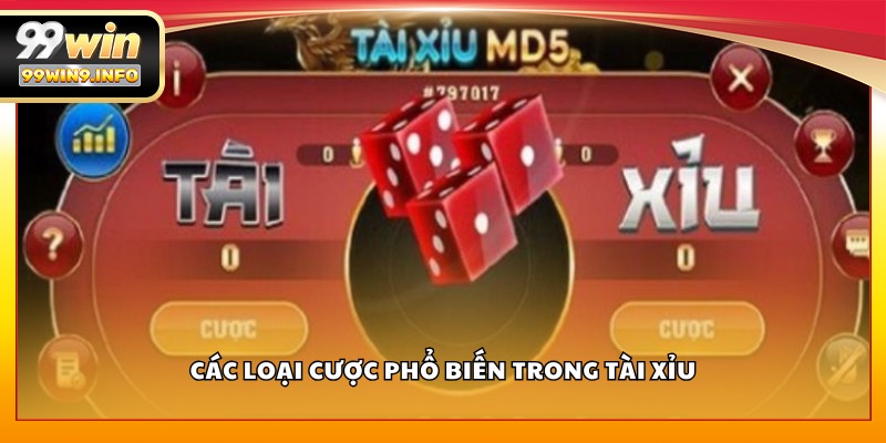 Các loại cược phổ biến trong Tài Xỉu