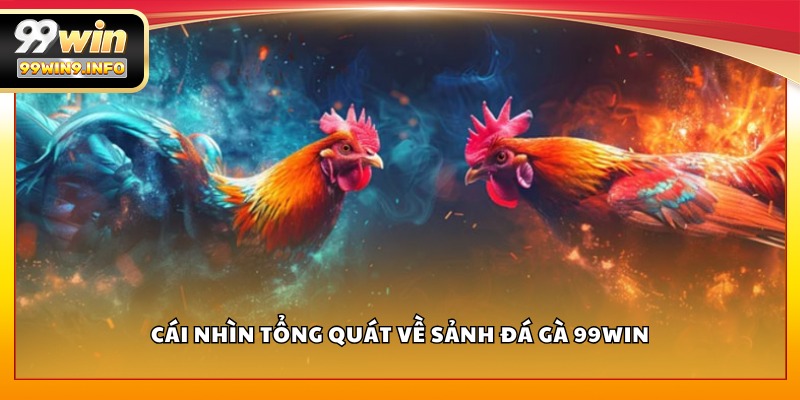 Cái nhìn tổng quát về sảnh đá gà 99WIN