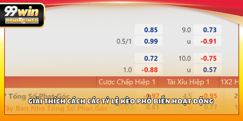 Giải thích cách các tỷ lệ kèo phổ biến hoạt động 